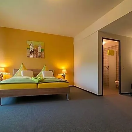 Park-hotel Leimen 3*